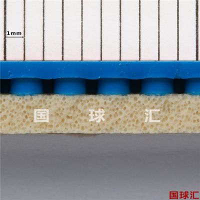 /Upload/goods/2022-01-05/61d56505f0b3a.JPG