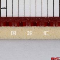 /images/201203/goods_img/942_P_1332735303883.JPG