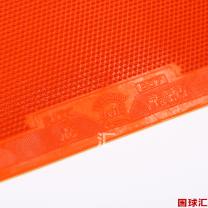 /images/201204/goods_img/733_P_1333687620172.jpg