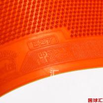 /images/201204/goods_img/733_P_1333687620939.jpg