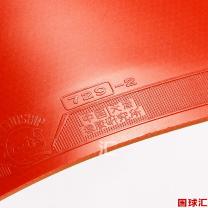 /images/201204/goods_img/740_P_1333689172713.jpg