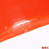 /images/201204/goods_img/808_P_1333705172332.jpg