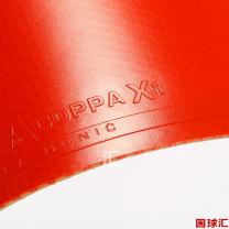 /images/201204/goods_img/834_P_1333811808594.jpg