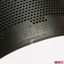 /images/201204/goods_img/965_P_1333935695650.jpg