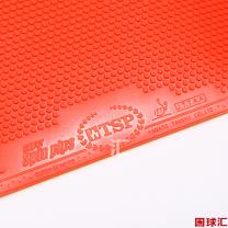 /images/201204/goods_img/972_P_1333936252117.jpg