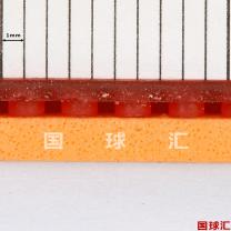 /images/201205/goods_img/907_P_1336986884514.jpg