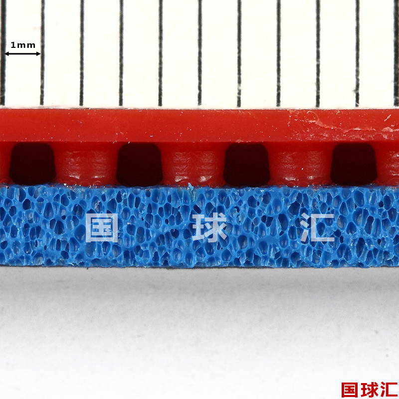 2691_P_1456731026478.JPG